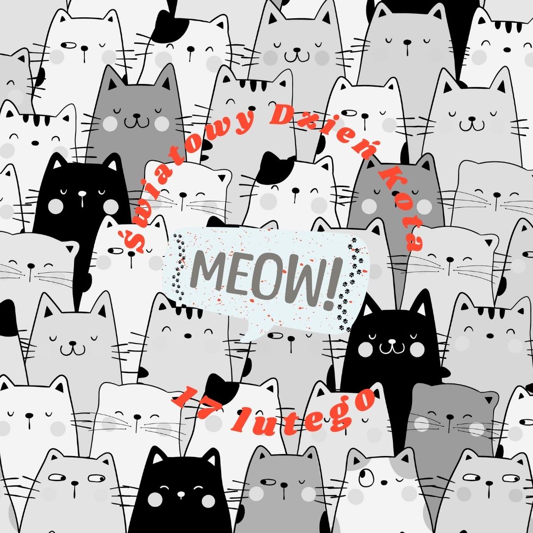 Światowy Dzień Kota